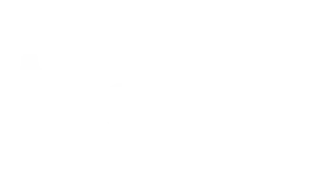 DMSI White Logo