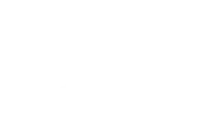 Hansford White Logo