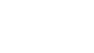 SDT White Logo