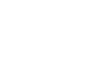 T5 Logo White