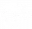 T5 Logo White